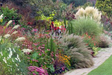 Ornamental Grasses and Perennial Gardens