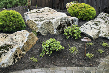 Rock Gardens